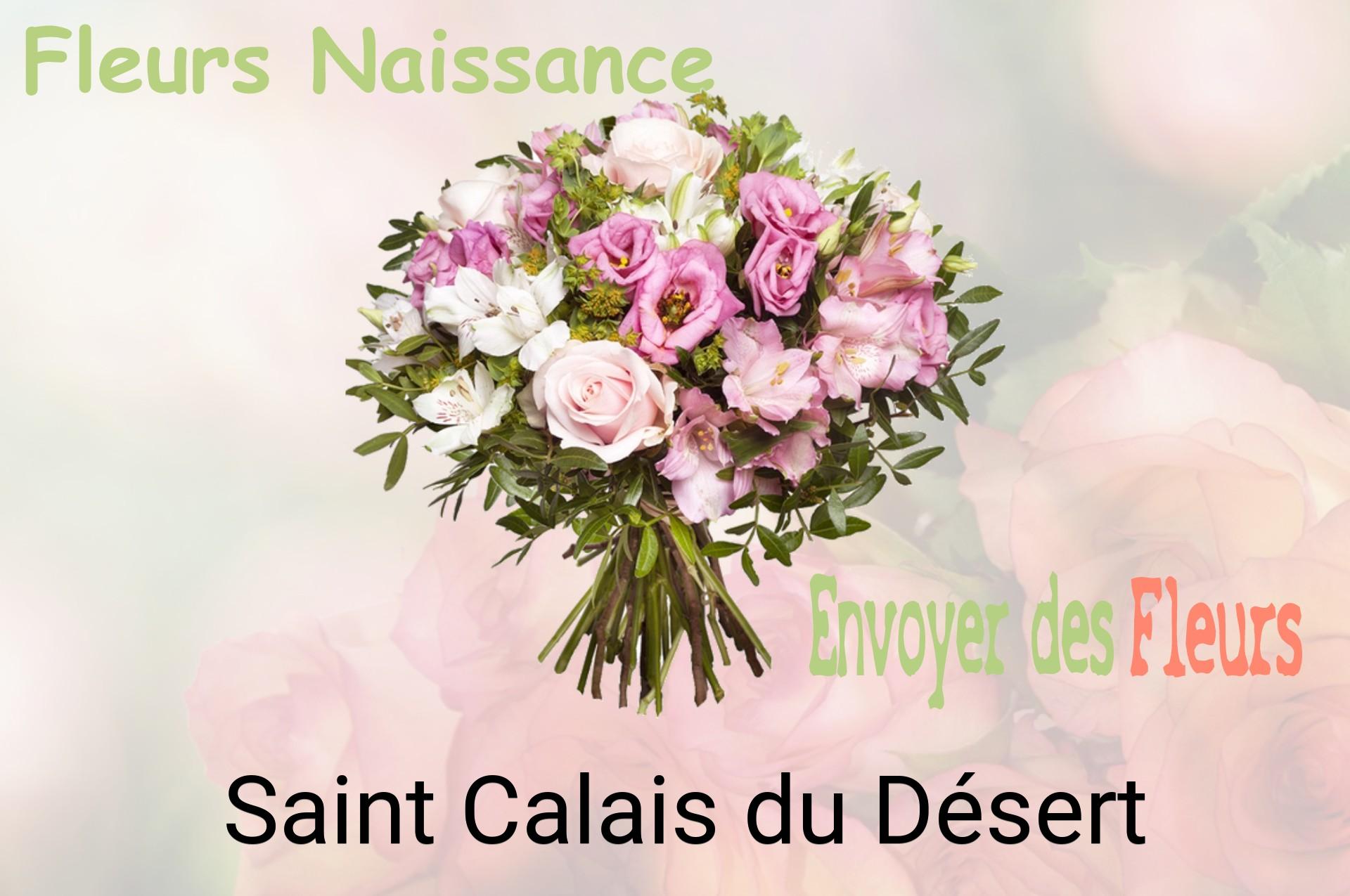 Bouquet de fleurs de naissance livré à Saint-Calais-du-Désert